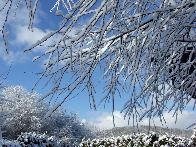 Moving with Winter Weather Woes