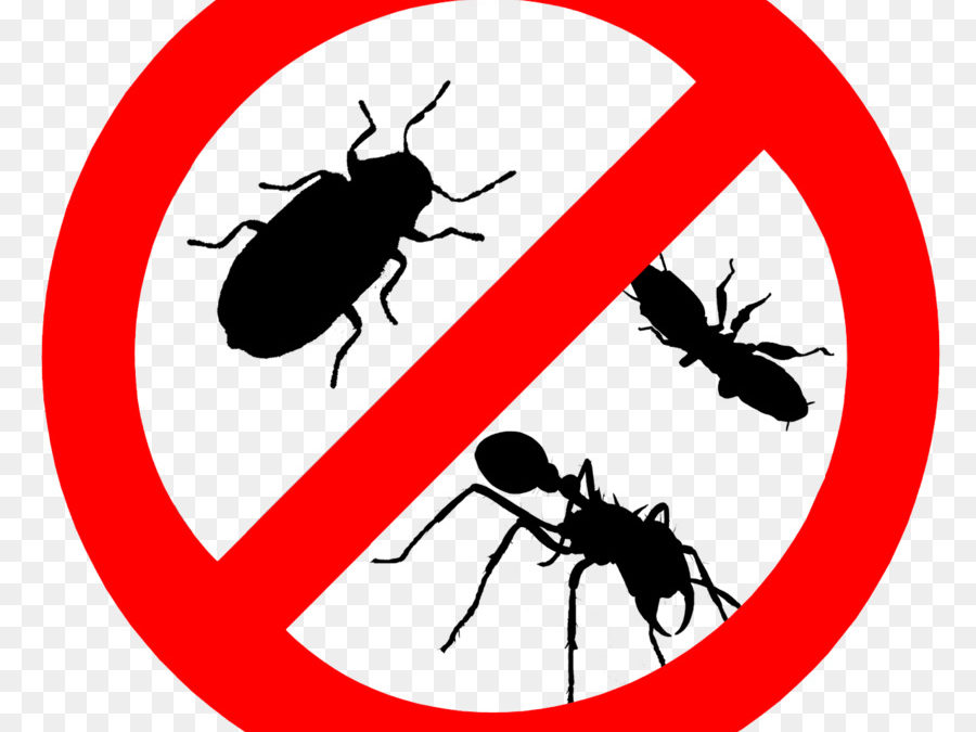 Pass On the Pests After Your move