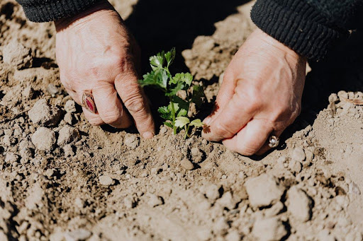 Make your garden grow with portable storage units