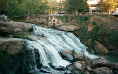 Moving to Greenville, South Carolina: A Guide to Your New Home