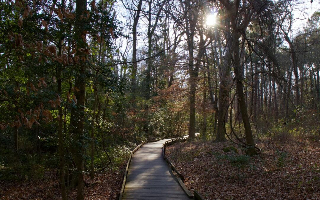 Moving to Mauldin, South Carolina
