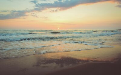 Why South Carolina Is the Best State to Move to in 2025
